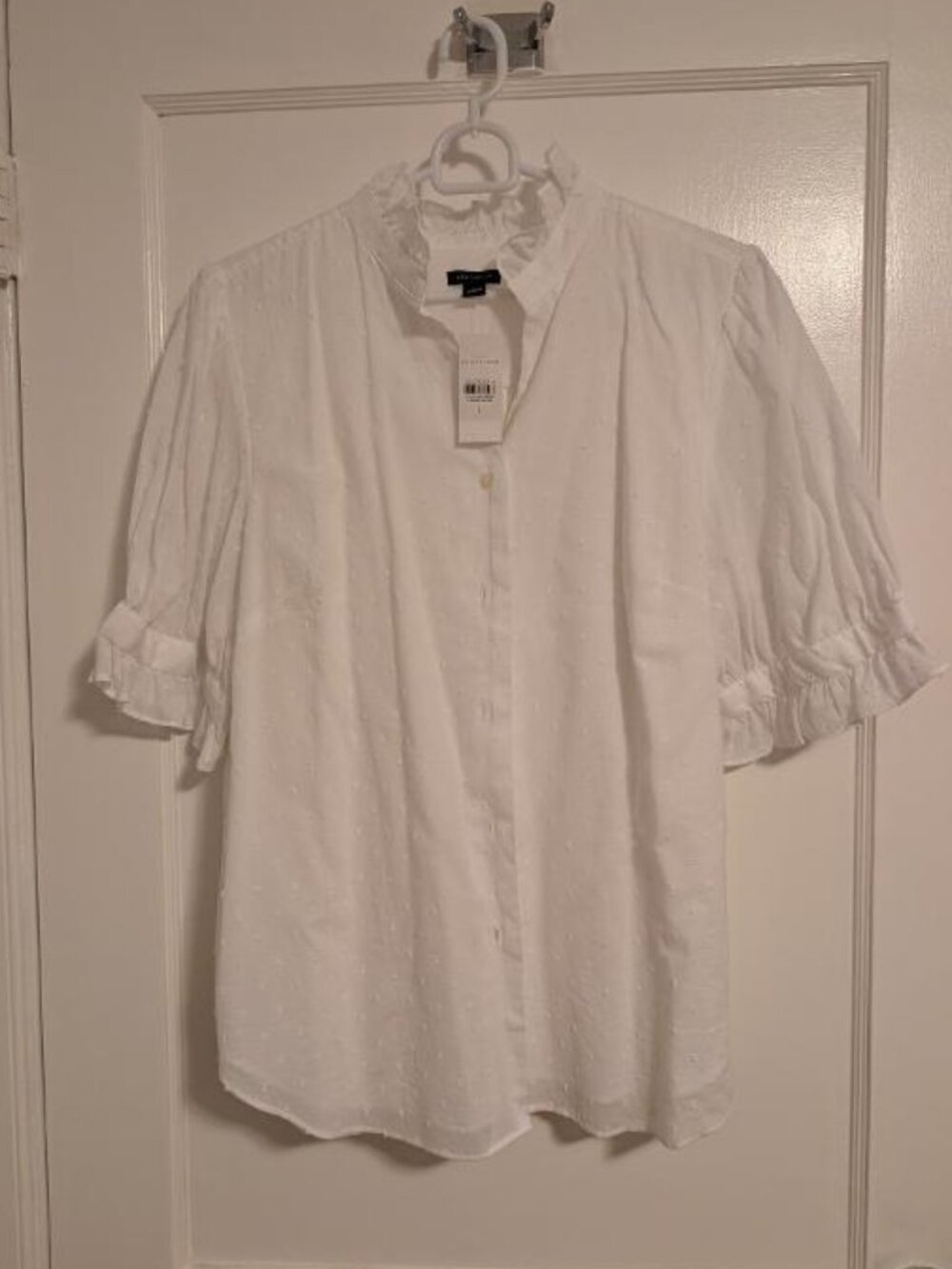 Ann Taylor shortsleeve top